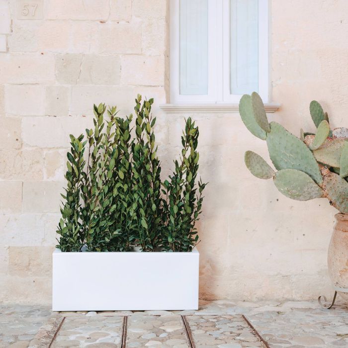 Vaso fioriera in resina rettangolare 40x100 in vari colori mod. Matera main product photo